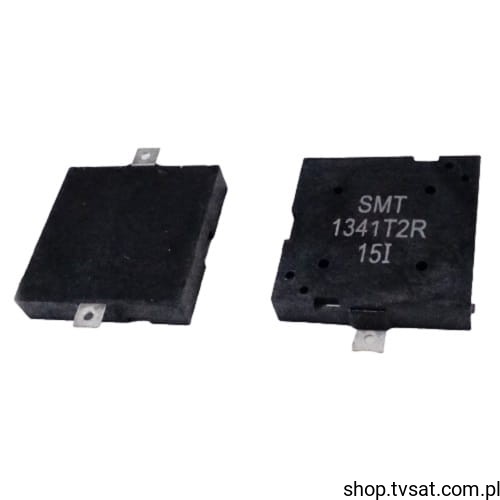 665-SMT-1341-T-2-R_X-BUZER-665.jpg