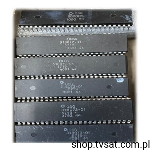 [1pc] 318072-01 5719 Commodore Amiga A2000 DIP48 CSG USED