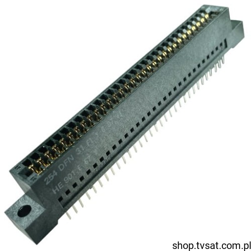 254DFN31F1Y6_GN-2X31.jpg