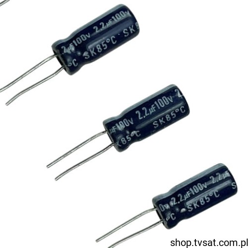 ESK225M100AC3FA_KEM00002V100-SK.jpg