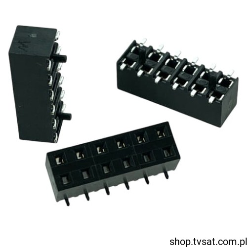 3491-12-60-10-TR_GN-2X06-WPPR.jpg