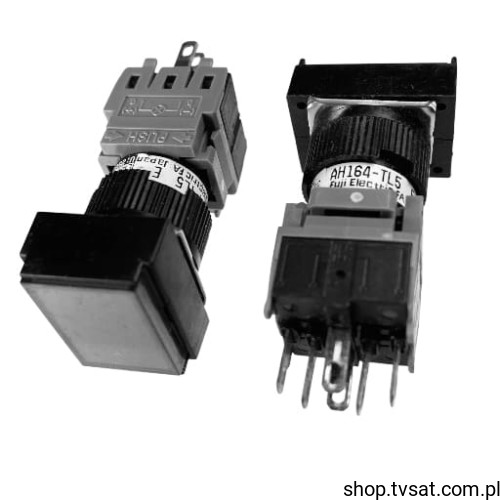 AH164-TL5R11E_P-AH164-TL5.jpg