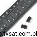BZV49C33_DZS-033.0BV4.jpg