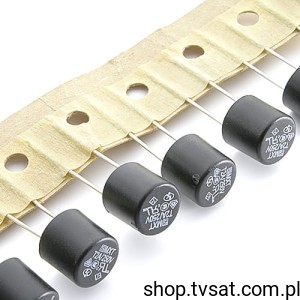 [20szt] 0034.6978 MXT250 0034.6918 Slow Fuse 2A 250V BT8 SCHURTER