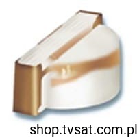 led-smd2.jpg