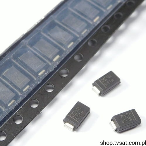 RS1M13F_DS-RS1M.jpg