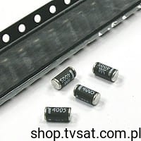 SM4005.jpg