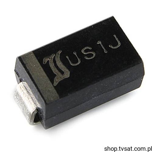 US1J_DS-US1J.jpg