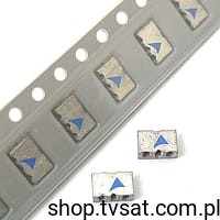 [100szt] B69813-N2407A502 Filter 2407MHz SMD EPCOS