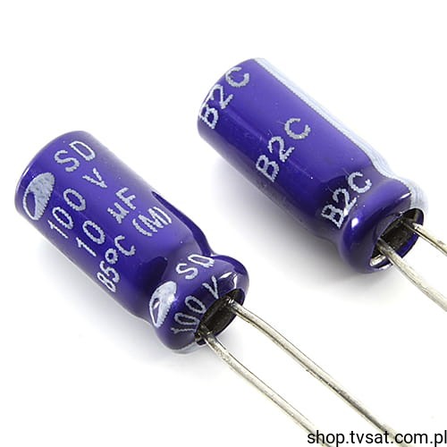 SD10uF-100V_KEM00010102.jpg