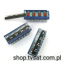 z181.jpg