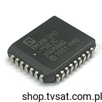 28F010_SD2.jpg