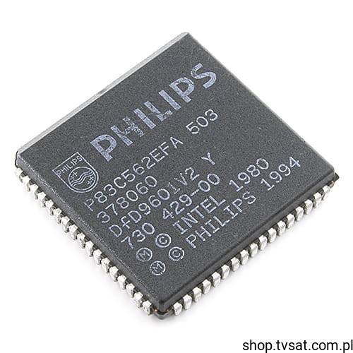 P83C562EFA-503_U-83C562L503.jpg