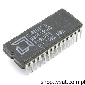 [2szt] AM9519ADC Interrupt Controller DIP28C AMD USED