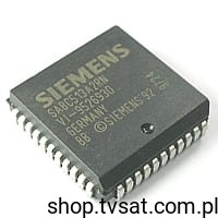 sab-c513_s.jpg