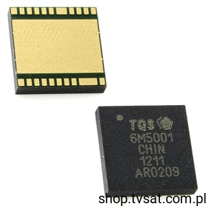 [10pcs] TQM6M5001 RF And MMW Switch Module SMD-LGA18 TRIQUUINT