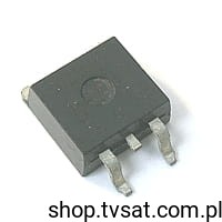 ts-buz100_l.jpg