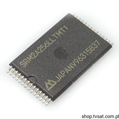 SRM2A256LLTM1_U-SRM2A256SL.jpg