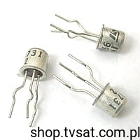 t-iw8731.jpg