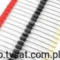 1N5060GP_D-1N5060.jpg