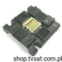SAB1640.jpg