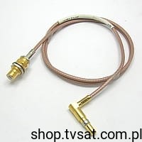 z1239.jpg