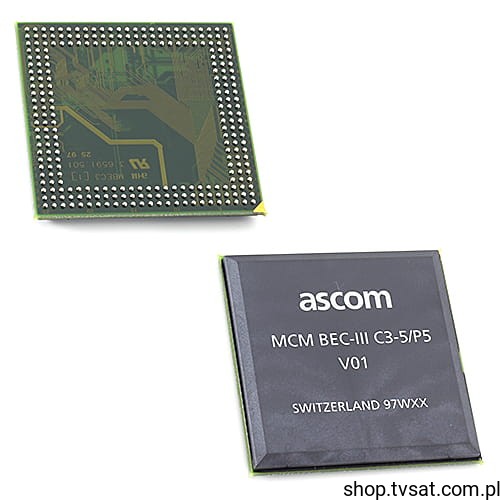 BEC-III_C3-5P5_MCM_U-MCMBEC.jpg