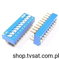 p-dip10_3.jpg