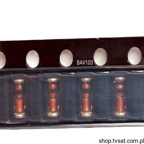 BAV103_DS-BAV1037.jpg