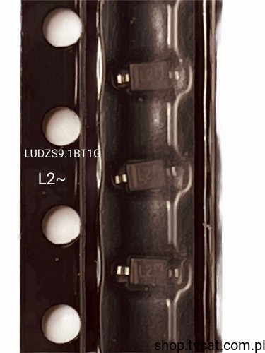 LUDZS9.1BT1G_DZ-009.1BT1G.jpg