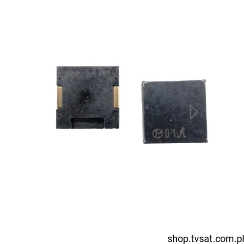 PKLCS1212E4001-R1_X-PIEZO-PKLCS.jpg