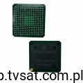 XPC823ZT81B2T_U-XPC823ZT81B2T.jpg