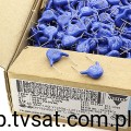 WKP102KCPED0KR_KCN001.0R5WKP_1.jpg