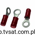 320554-1_X-ZLACZEO4TE.jpg