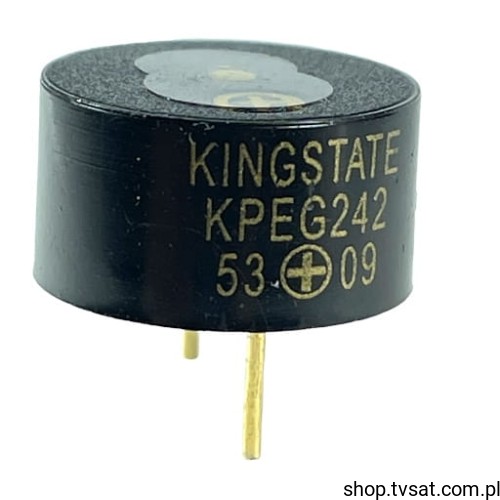 KPEG242_X-BUZ-KPEG242.jpg